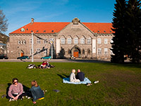 20/65